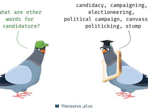 candidature