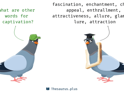captivation