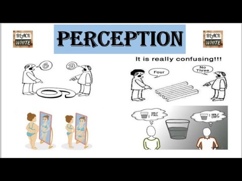 perception