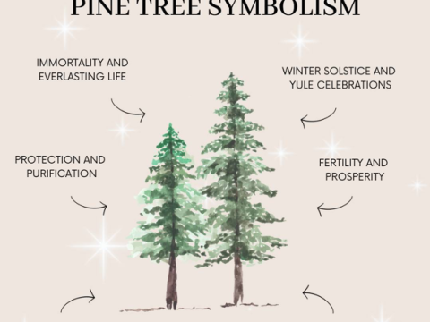 pine