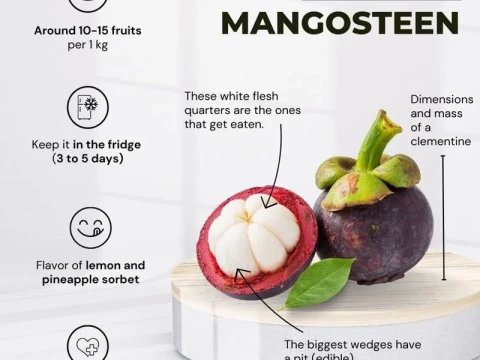 mangosteen