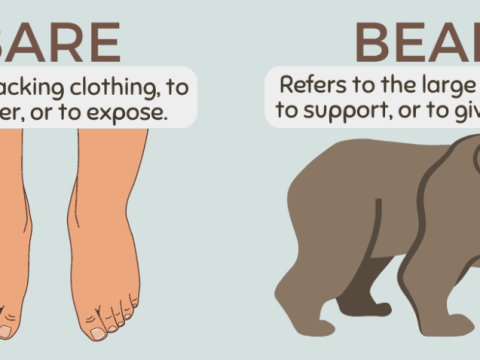 bear-like