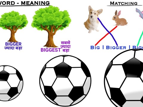 biggest