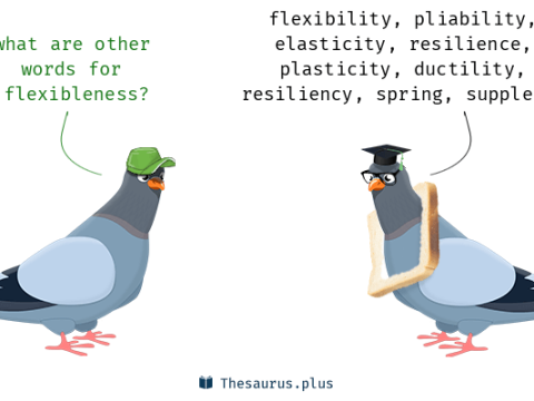 flexibleness