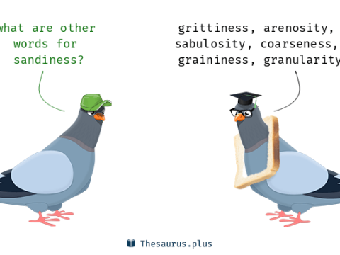 sandiness