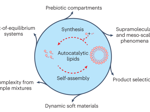 autocatalysis