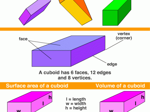 cuboid