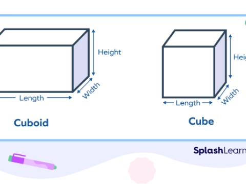 cuboidal