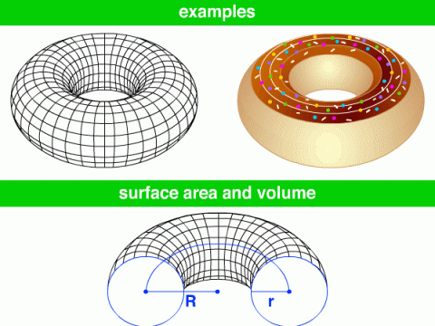 torus