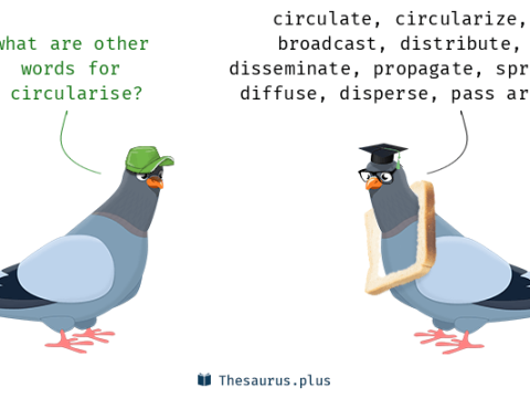 circularise