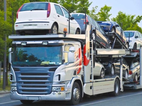 transporter