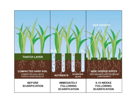 scarifying