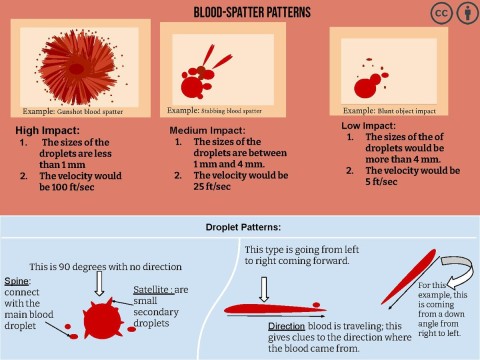 bloodstain