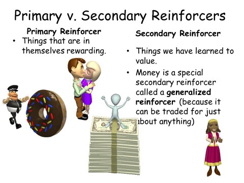 reinforcer