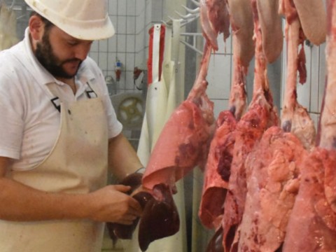 abattoir