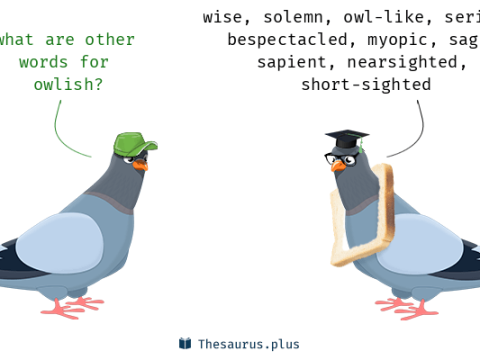 owlish