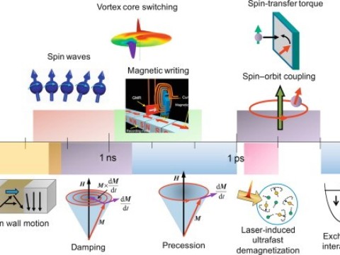 magnetization