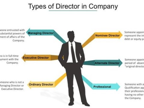 vice director