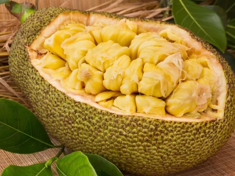 jackfruit
