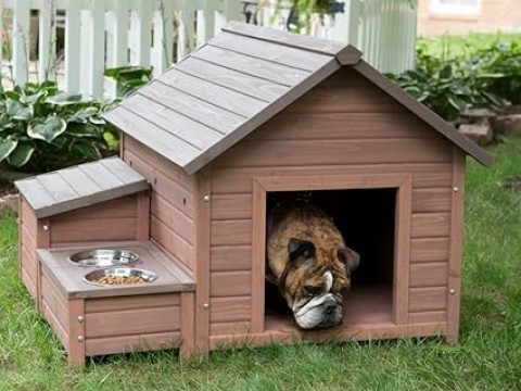 doghouse