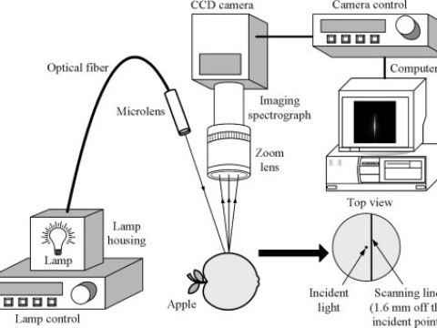 spectrographic