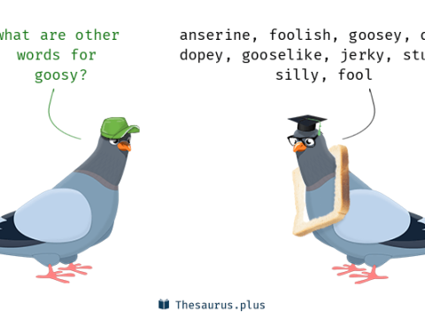 goosy