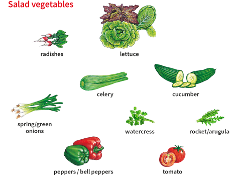 green onion