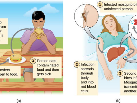 diseaseful