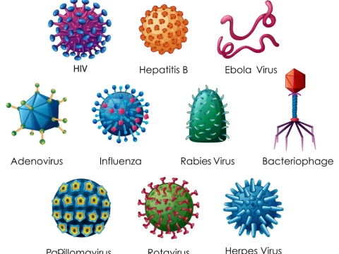 viroid