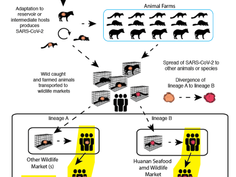 virological