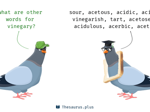 vinegary