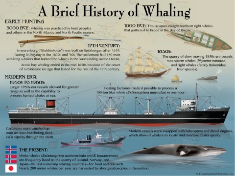 whaleboat