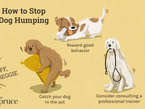 humping
