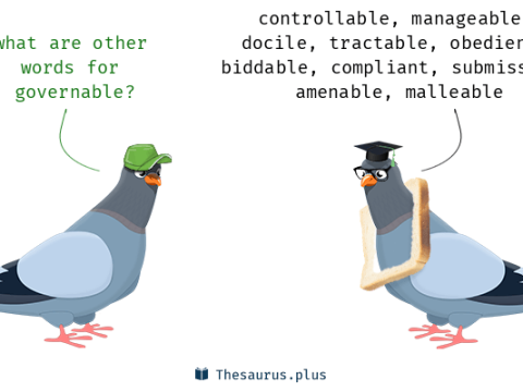 governable