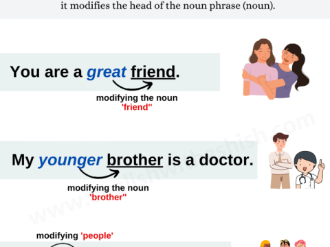 attributive