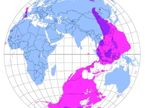 antipode