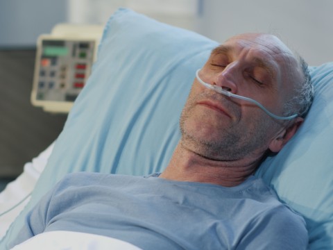 hospitalise
