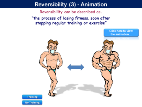 reversibility