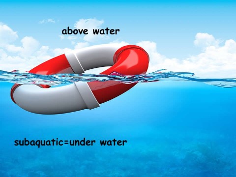 subaquatic