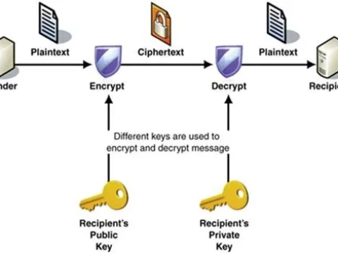 cryptology