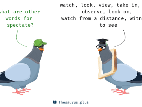 spectate