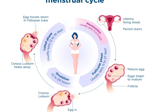 periods