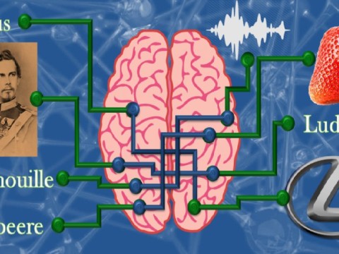 memorizer
