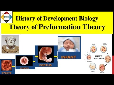 preformation