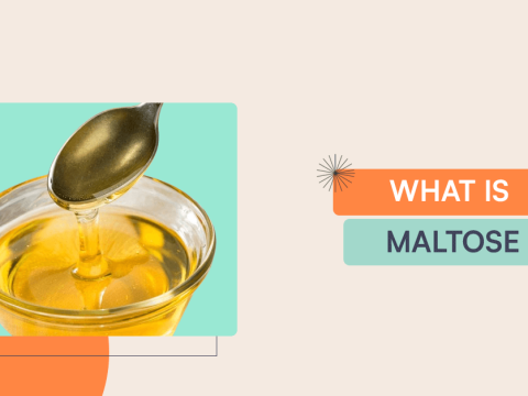 maltose