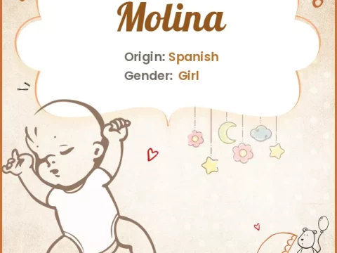 Molina
