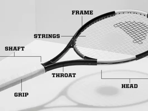 racquet