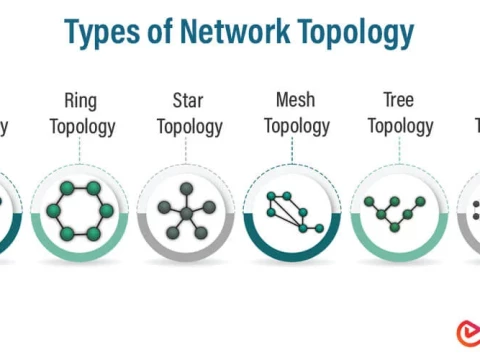 topology