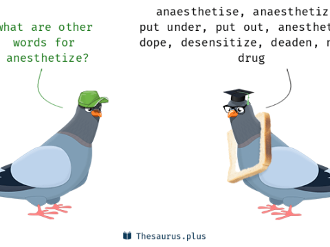 anesthetize
