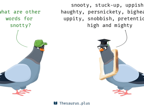 snotty